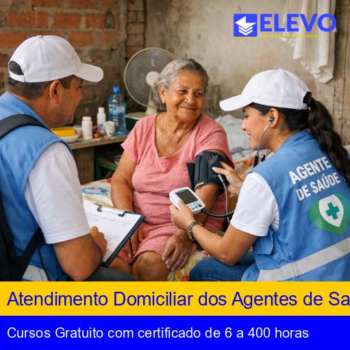Atendimento Domiciliar dos Agentes de Saúde